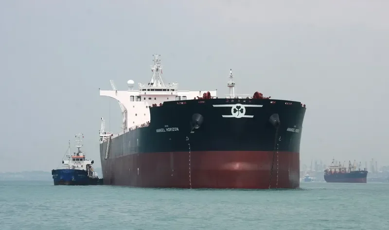 ANANGEL HORIZON Bulk Carrier IMO 9702699 photo 10
