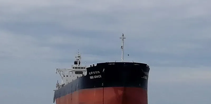 BBG GRACE Bulk Carrier IMO 9702704 photo 2