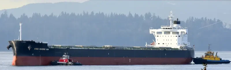 BBG HONOR Bulk Carrier IMO 9702716
