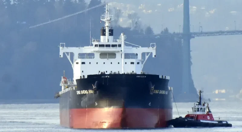 BBG HONOR Bulk Carrier IMO 9702716 photo 3