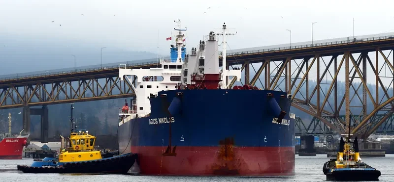 AGIOS NIKOLAS Bulk Carrier IMO 9702728 photo 2