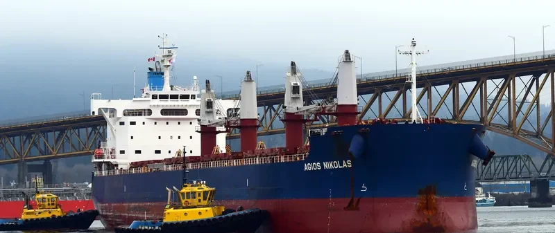 AGIOS NIKOLAS Bulk Carrier IMO 9702728 photo 3