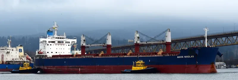 AGIOS NIKOLAS Bulk Carrier IMO 9702728 photo 4