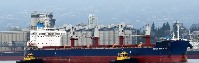 AGIOS NIKOLAS Bulk Carrier IMO 9702728 photo 5