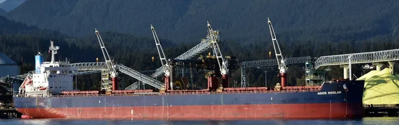 AGIOS NIKOLAS Bulk Carrier IMO 9702728 photo 7