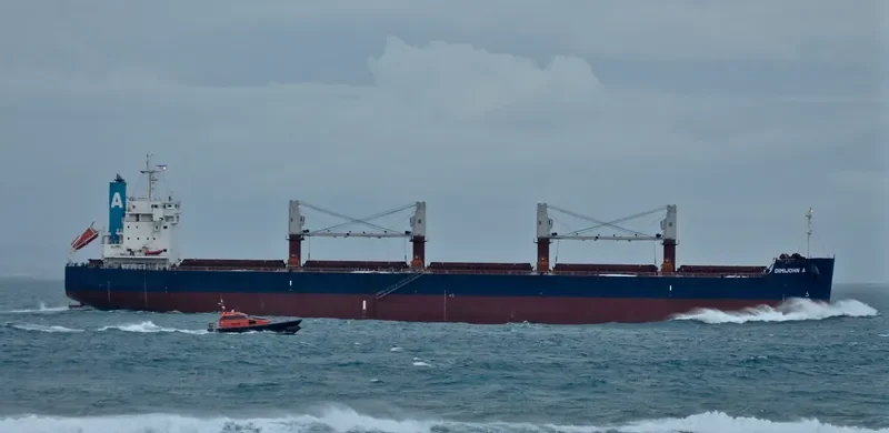 DIMIJOHN A Bulk Carrier IMO 9702730
