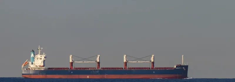 DIMIJOHN A Bulk Carrier IMO 9702730 photo 3