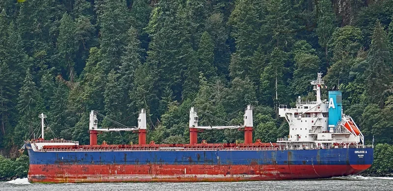 DIMIJOHN A Bulk Carrier IMO 9702730 photo 4