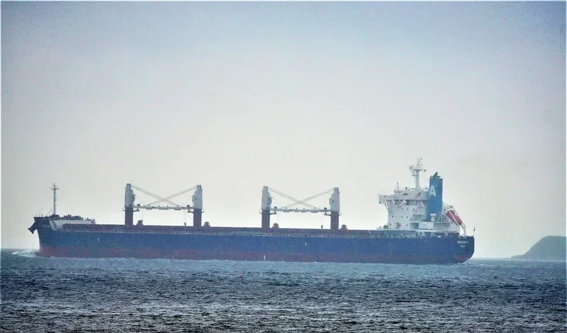 DIMIJOHN A Bulk Carrier IMO 9702730 photo 5
