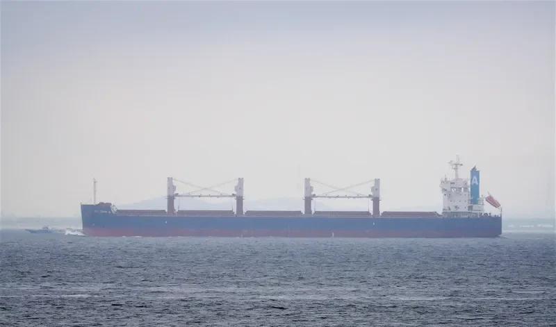 DIMIJOHN A Bulk Carrier IMO 9702730 photo 6