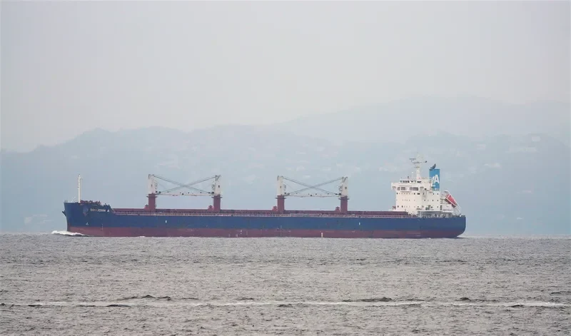 DIMIJOHN A Bulk Carrier IMO 9702730 photo 7