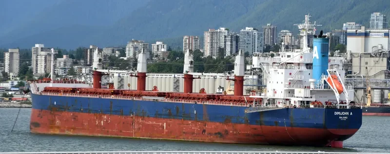 DIMIJOHN A Bulk Carrier IMO 9702730 photo 9