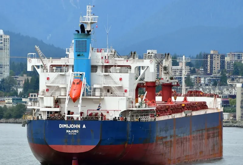 DIMIJOHN A Bulk Carrier IMO 9702730 photo 10