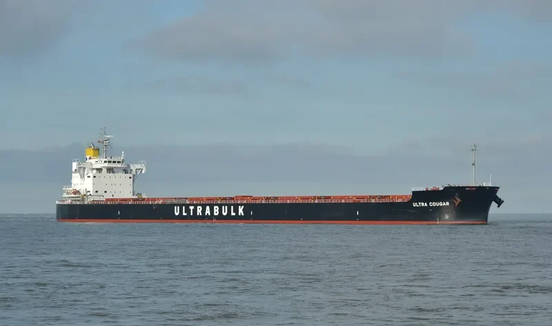 ULTRA COUGAR Bulk Carrier IMO 9702778 photo 2
