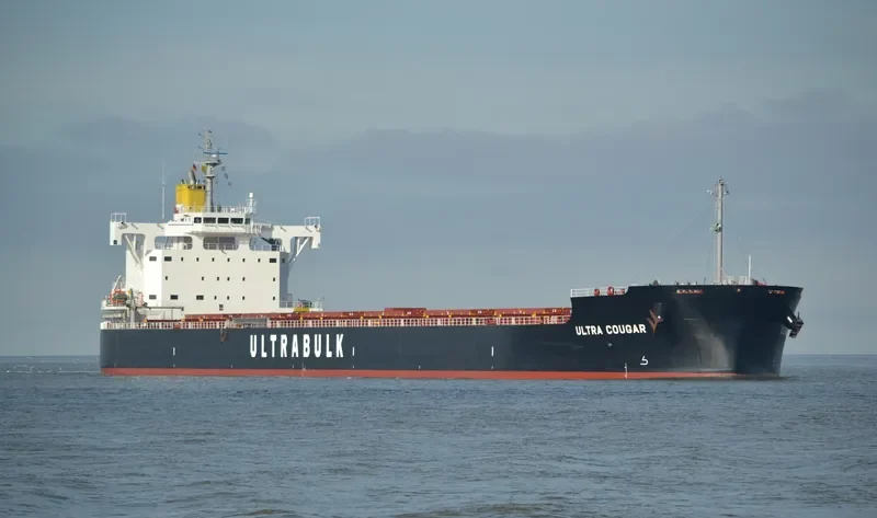 ULTRA COUGAR Bulk Carrier IMO 9702778 photo 3