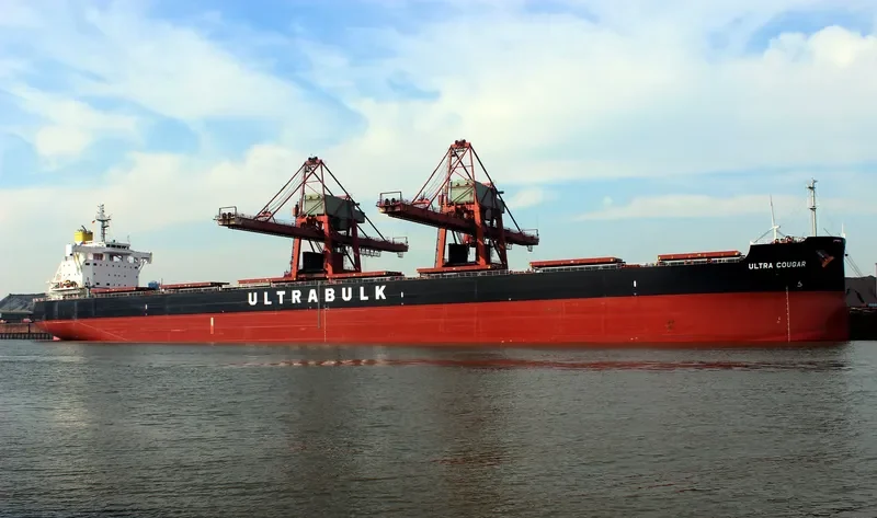 ULTRA COUGAR Bulk Carrier IMO 9702778 photo 4