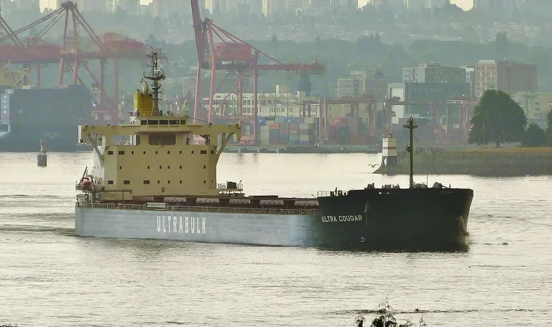 ULTRA COUGAR Bulk Carrier IMO 9702778 photo 6