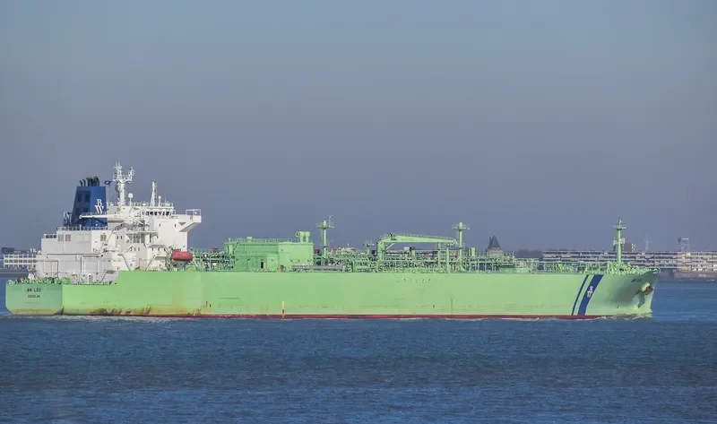 BW LEO General Cargo IMO 9703019 photo 8