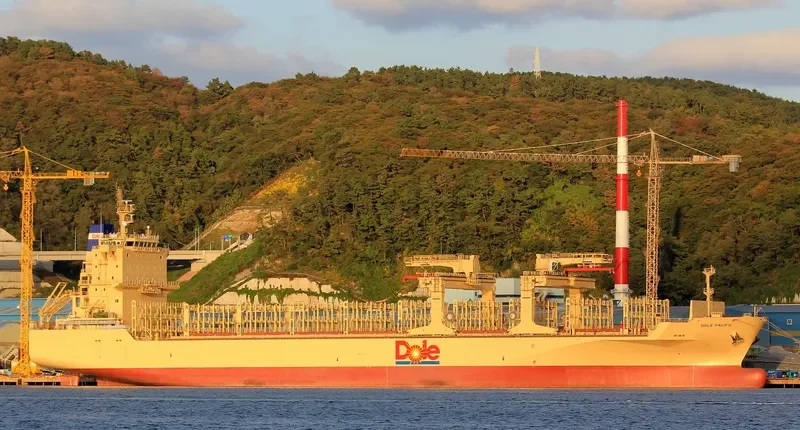 DOLE PACIFIC Container Ship IMO 9703057