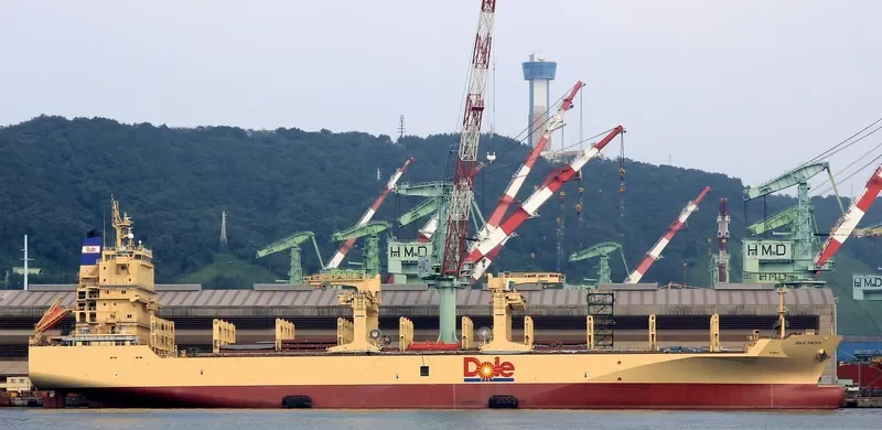 DOLE PACIFIC Container Ship IMO 9703057 photo 2