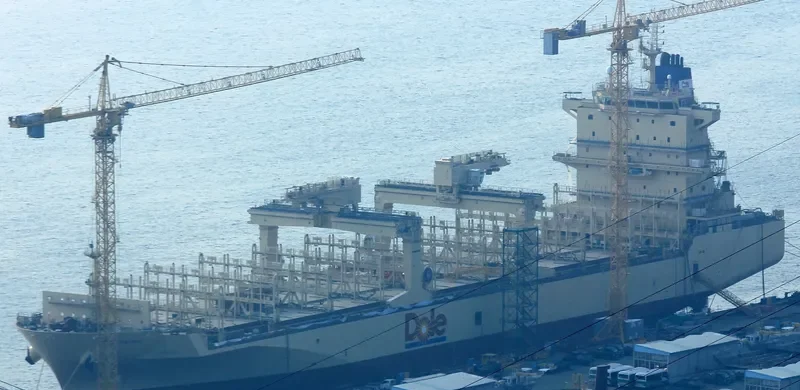 DOLE PACIFIC Container Ship IMO 9703057 photo 3