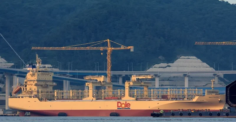 DOLE PACIFIC Container Ship IMO 9703057 photo 4