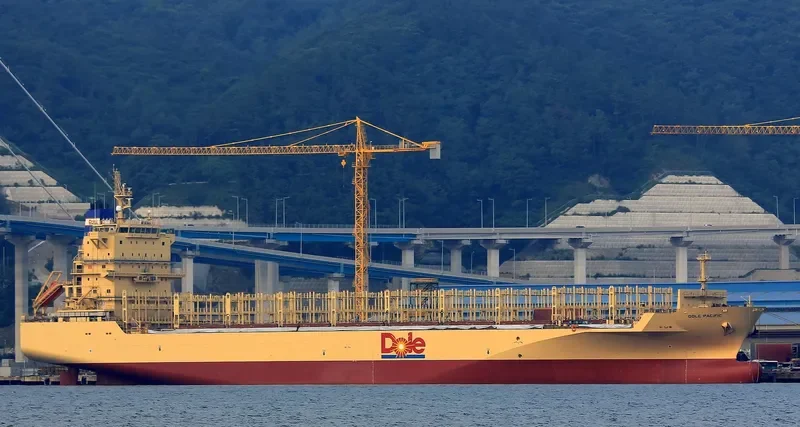 DOLE PACIFIC Container Ship IMO 9703057 photo 5