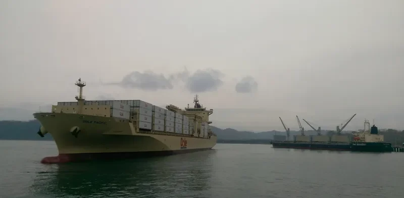 DOLE PACIFIC Container Ship IMO 9703057 photo 7