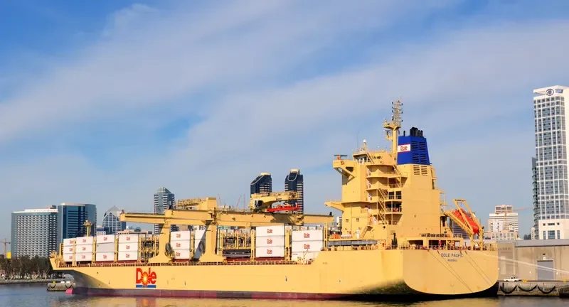 DOLE PACIFIC Container Ship IMO 9703057 photo 9