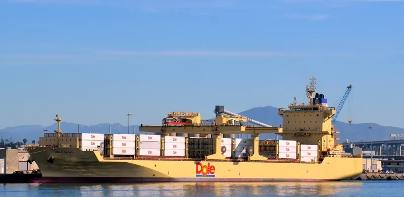 DOLE PACIFIC Container Ship IMO 9703057 photo 10