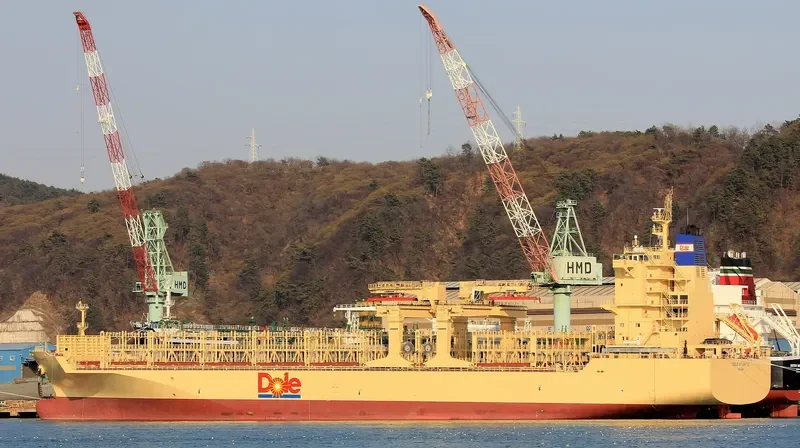 DOLE ATLANTIC Container Ship IMO 9703069
