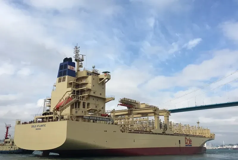 DOLE ATLANTIC Container Ship IMO 9703069 photo 2