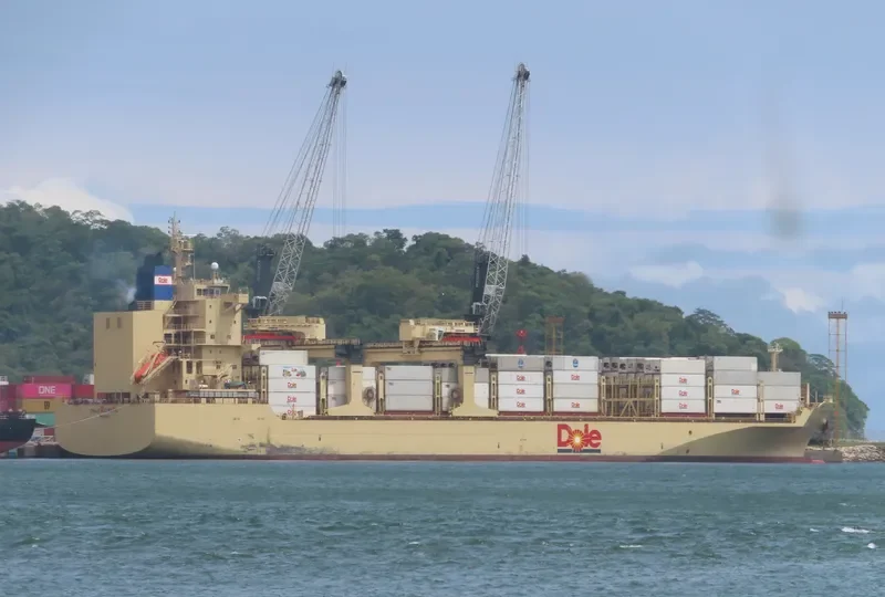 DOLE ATLANTIC Container Ship IMO 9703069 photo 3