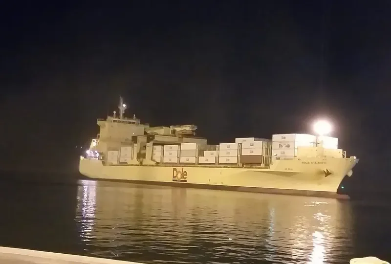DOLE ATLANTIC Container Ship IMO 9703069 photo 4