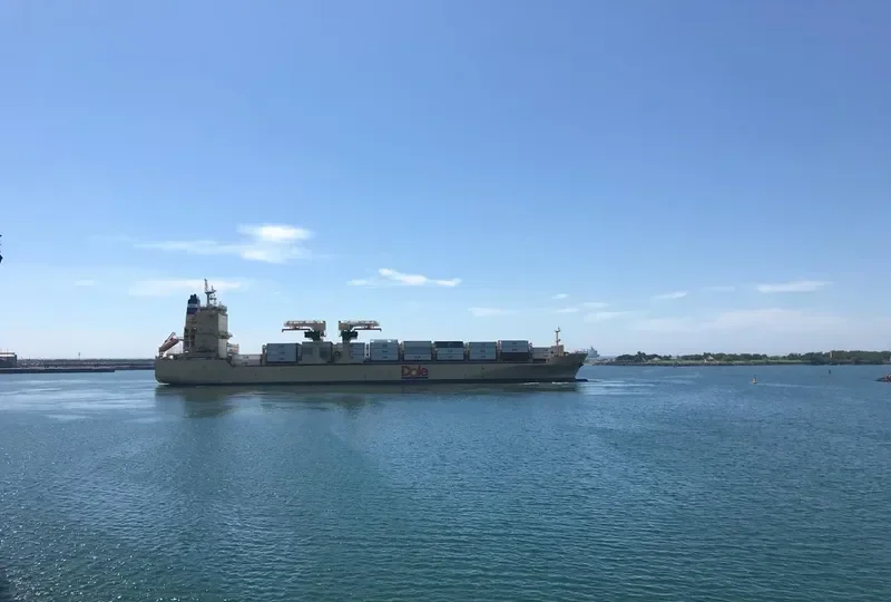 DOLE ATLANTIC Container Ship IMO 9703069 photo 5