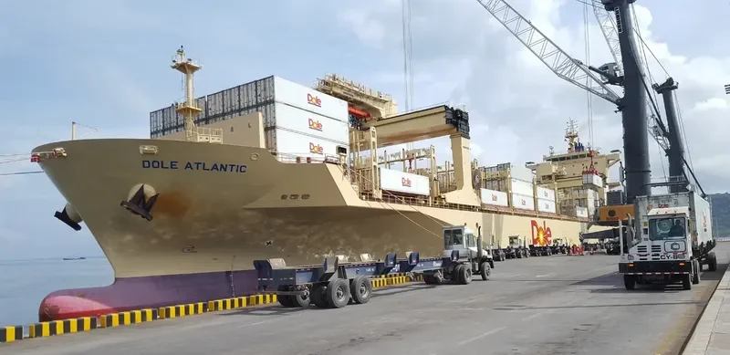 DOLE ATLANTIC Container Ship IMO 9703069 photo 6