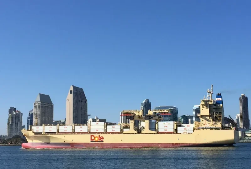 DOLE CARIBBEAN Container Ship IMO 9703071