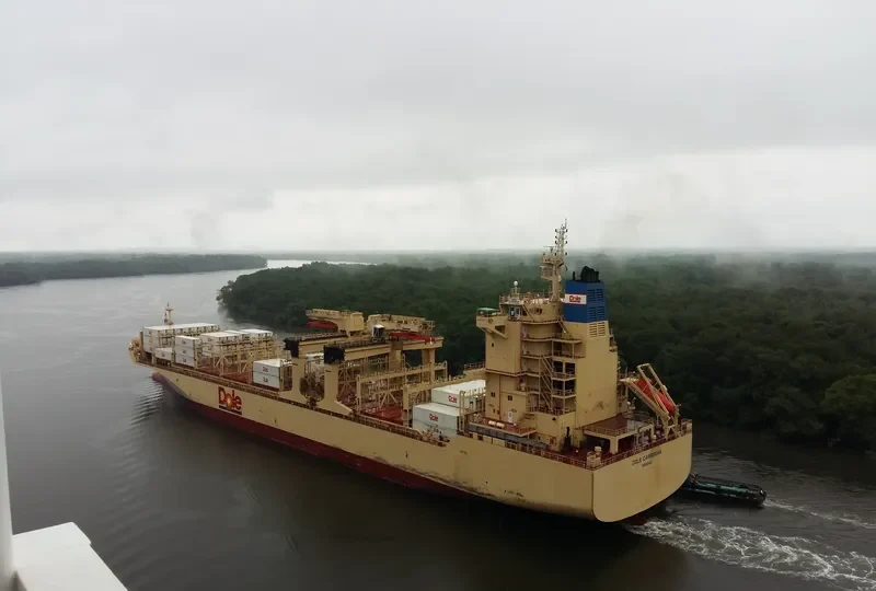 DOLE CARIBBEAN Container Ship IMO 9703071 photo 2