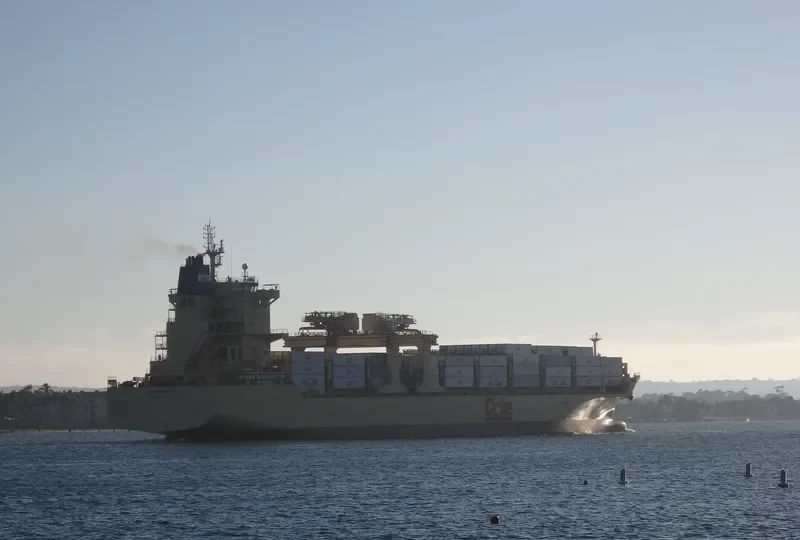 DOLE CARIBBEAN Container Ship IMO 9703071 photo 3