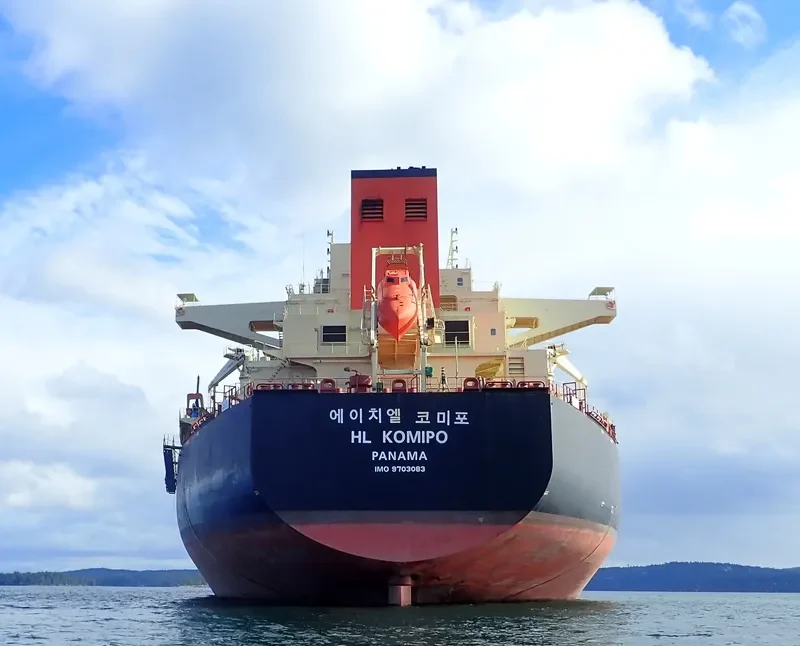 HL KOMIPO Bulk Carrier IMO 9703083 photo 7