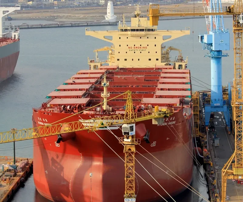 HYUNDAI HADONG Bulk Carrier IMO 9703095