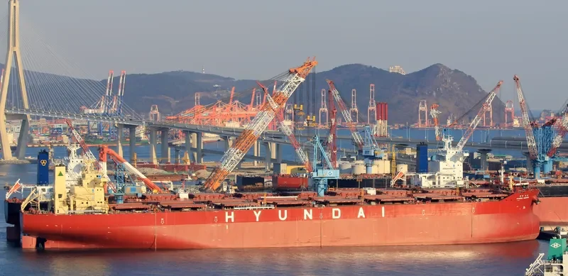 HYUNDAI HADONG Bulk Carrier IMO 9703095 photo 2