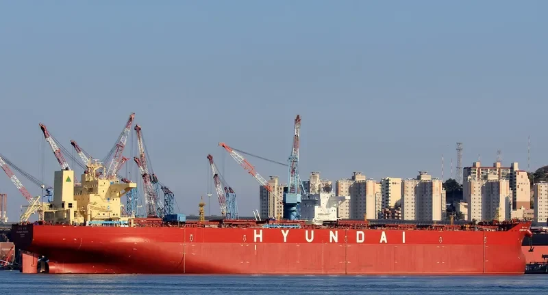 HYUNDAI HADONG Bulk Carrier IMO 9703095 photo 3