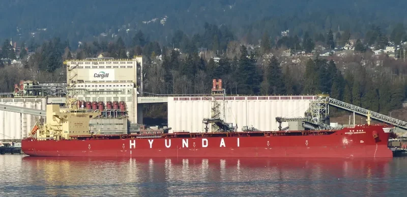 HYUNDAI SAMCHEONPO Bulk Carrier IMO 9703100 photo 2