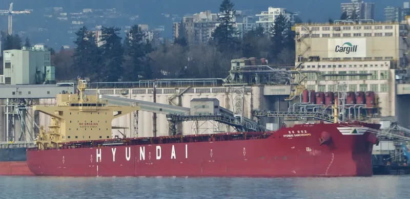 HYUNDAI SAMCHEONPO Bulk Carrier IMO 9703100 photo 3