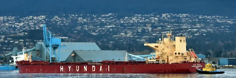 HYUNDAI SAMCHEONPO Bulk Carrier IMO 9703100 photo 4