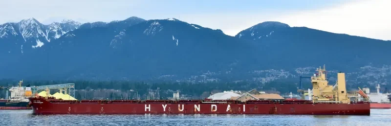 HYUNDAI SAMCHEONPO Bulk Carrier IMO 9703100 photo 5