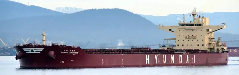 HYUNDAI SAMCHEONPO Bulk Carrier IMO 9703100 photo 6