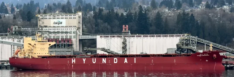 HYUNDAI SAMCHEONPO Bulk Carrier IMO 9703100 photo 7
