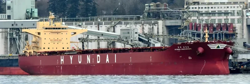 HYUNDAI SAMCHEONPO Bulk Carrier IMO 9703100 photo 8